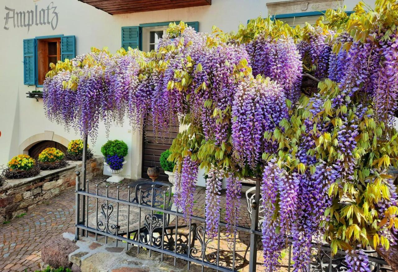Amplatz 1523 - B&B And Suites Montagna Luaran gambar