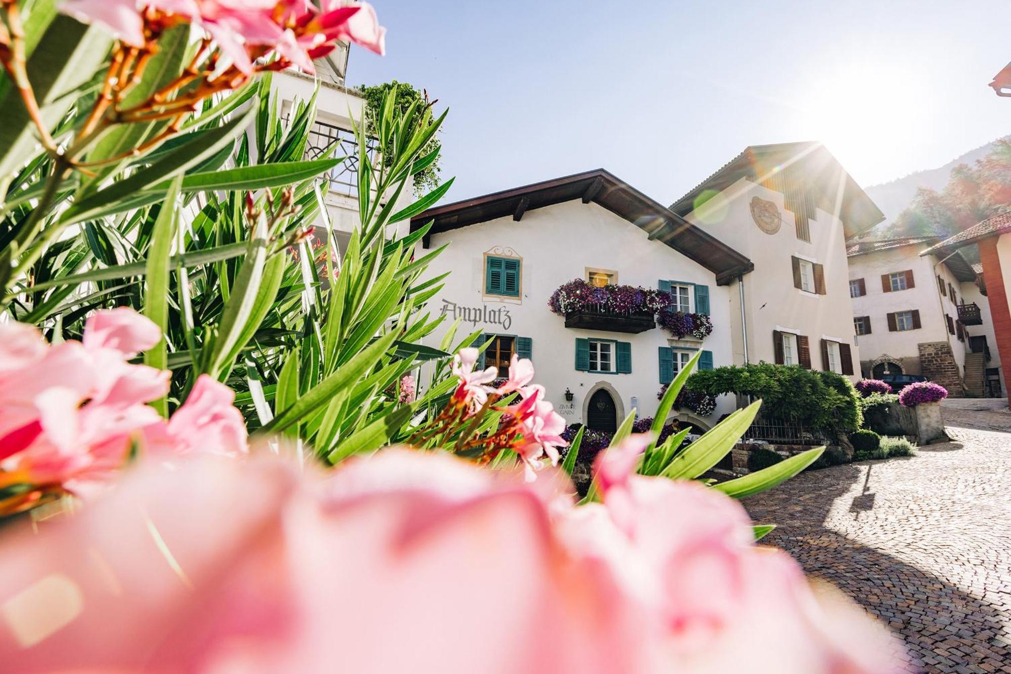 Amplatz 1523 - B&B And Suites Montagna Luaran gambar